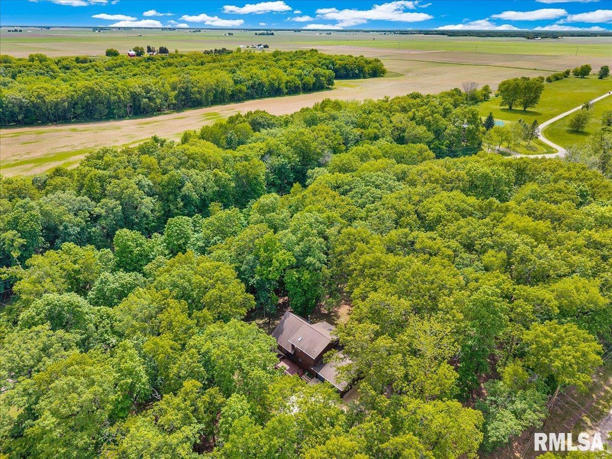 983 Oak Crest Drive, Varna, Illinois image 39