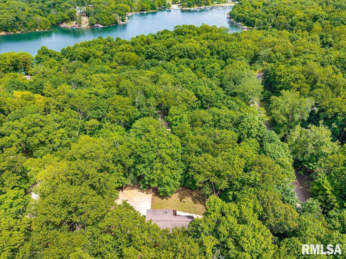 983 Oak Crest Drive, Varna, Illinois image 36