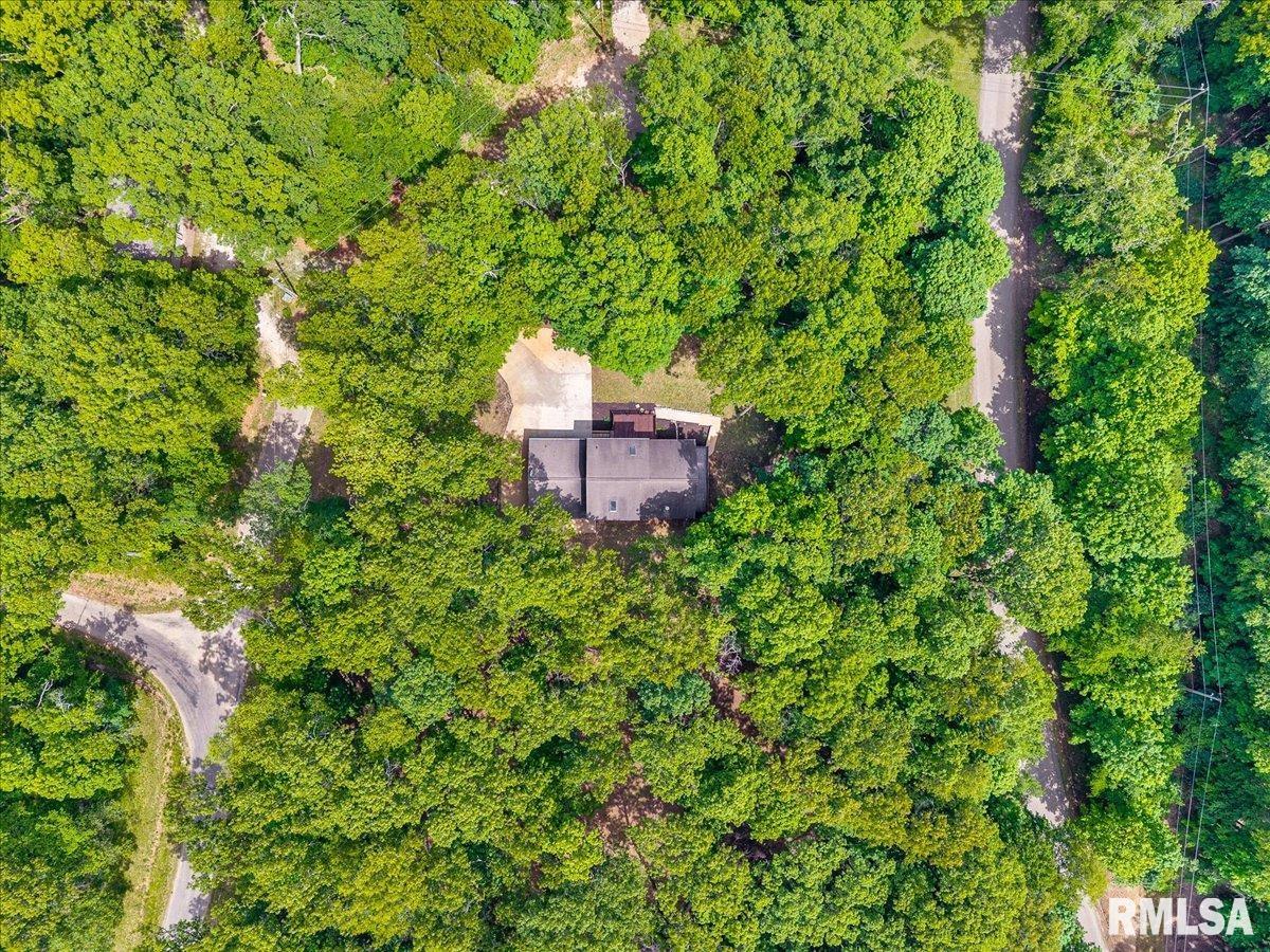 983 Oak Crest Drive, Varna, Illinois image 41