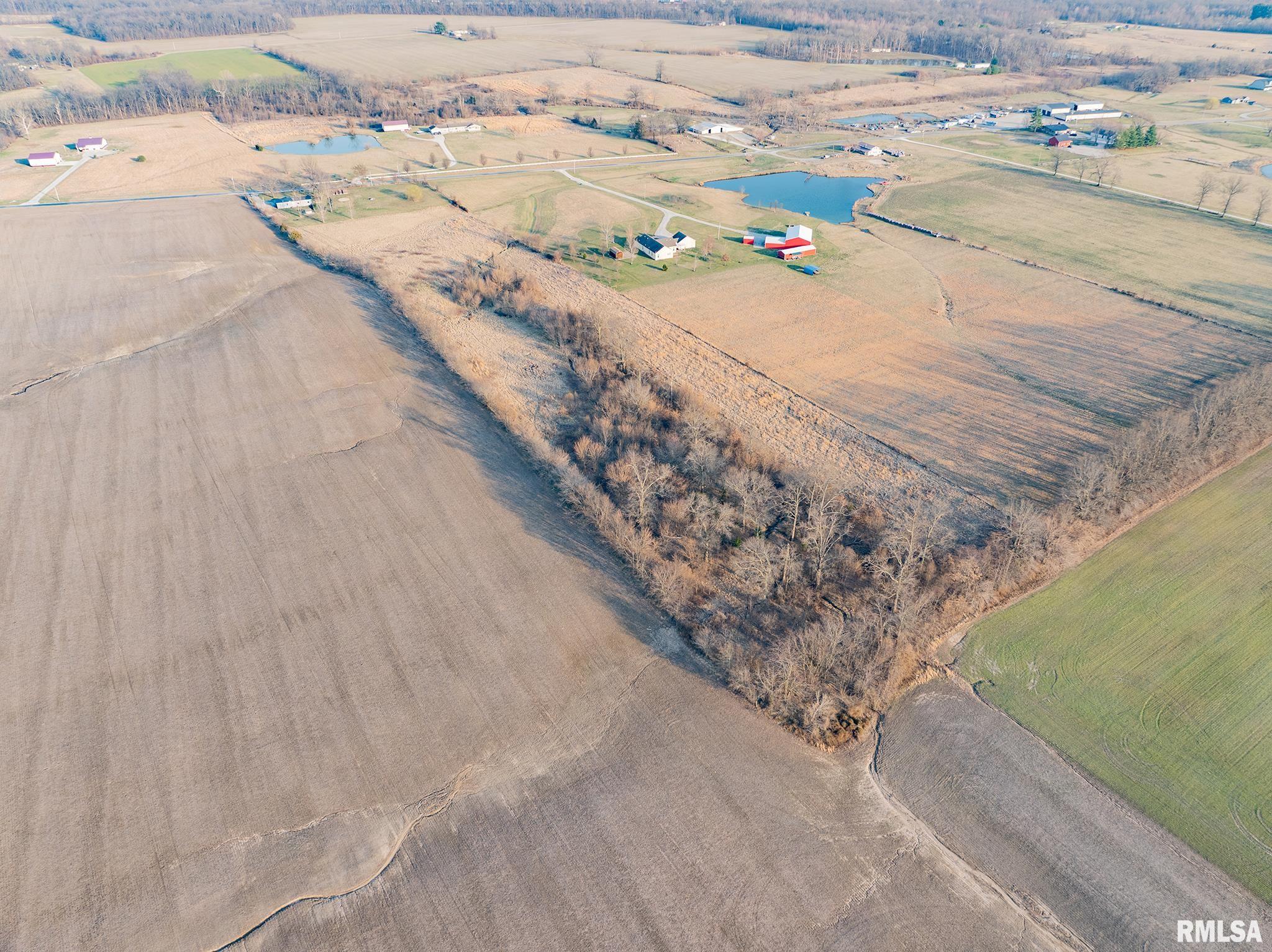 1987 Charleston Road, Salem, Illinois image 9
