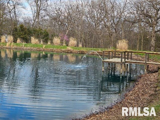1029 E 2250th Street, Liberty, Illinois image 7