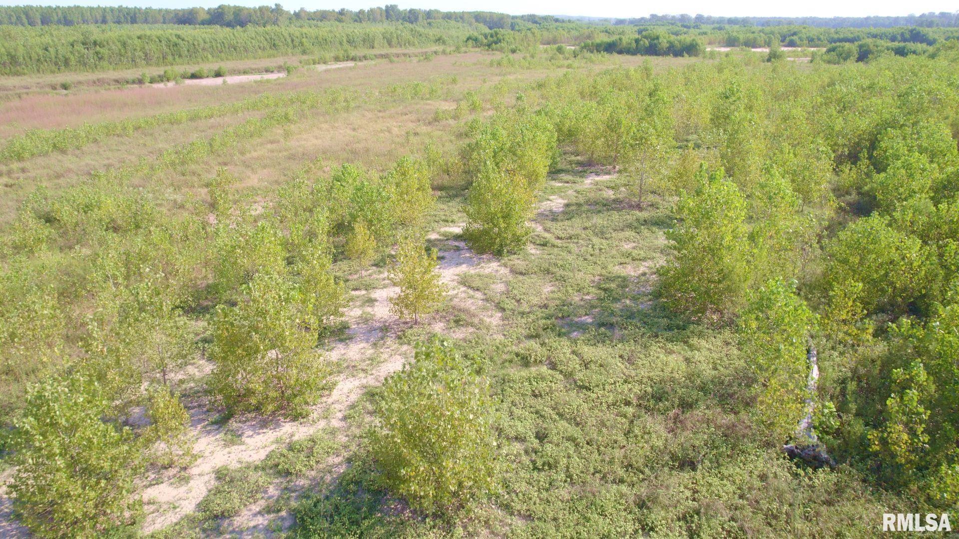 000 Watson Road, Miller City, Illinois image 13