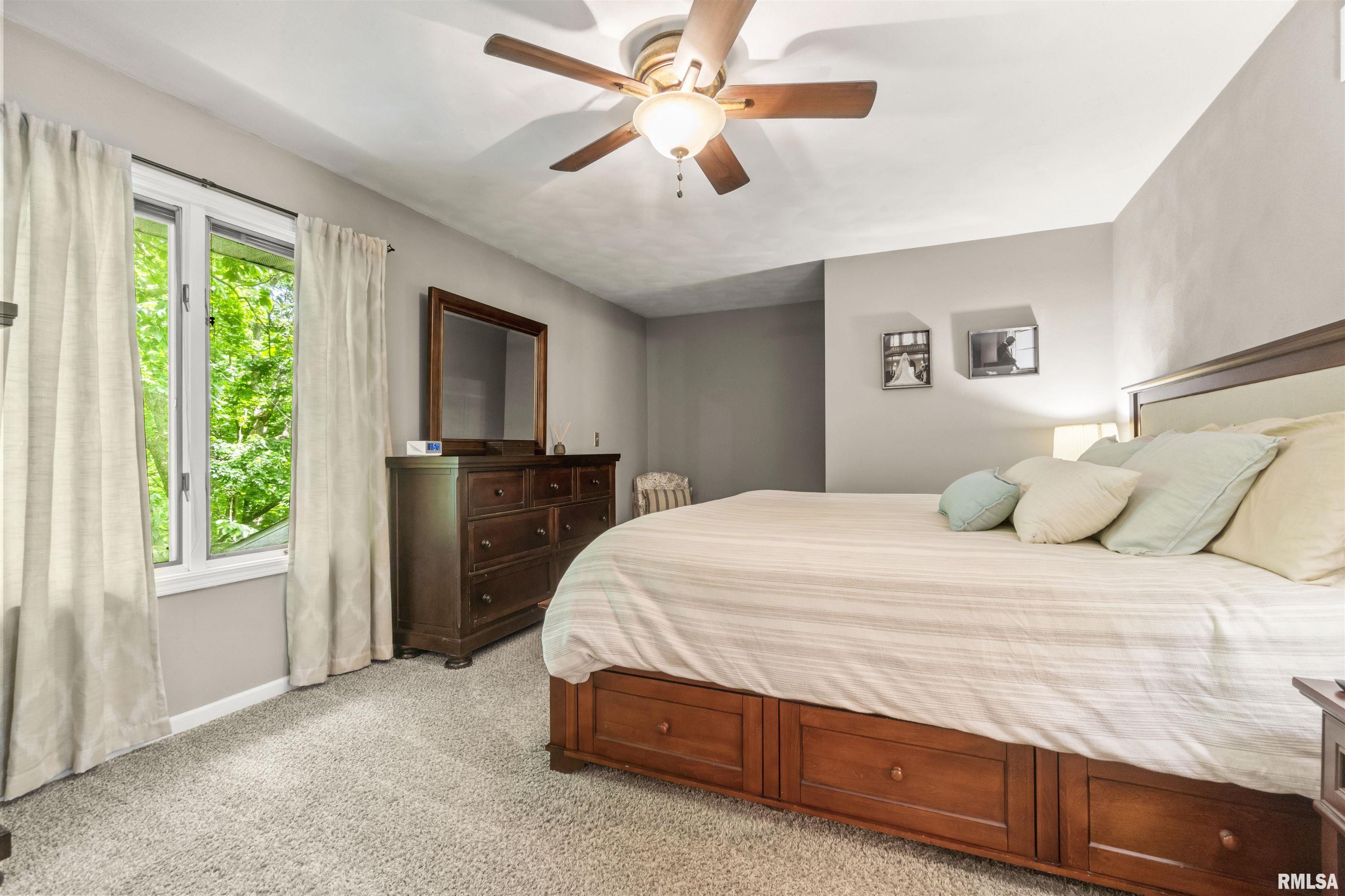 1621 W Northedge Court, Dunlap, Illinois image 26