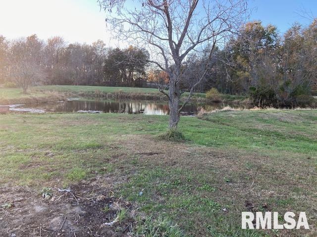 22458 Carlyle Road, Thompsonville, Illinois image 7