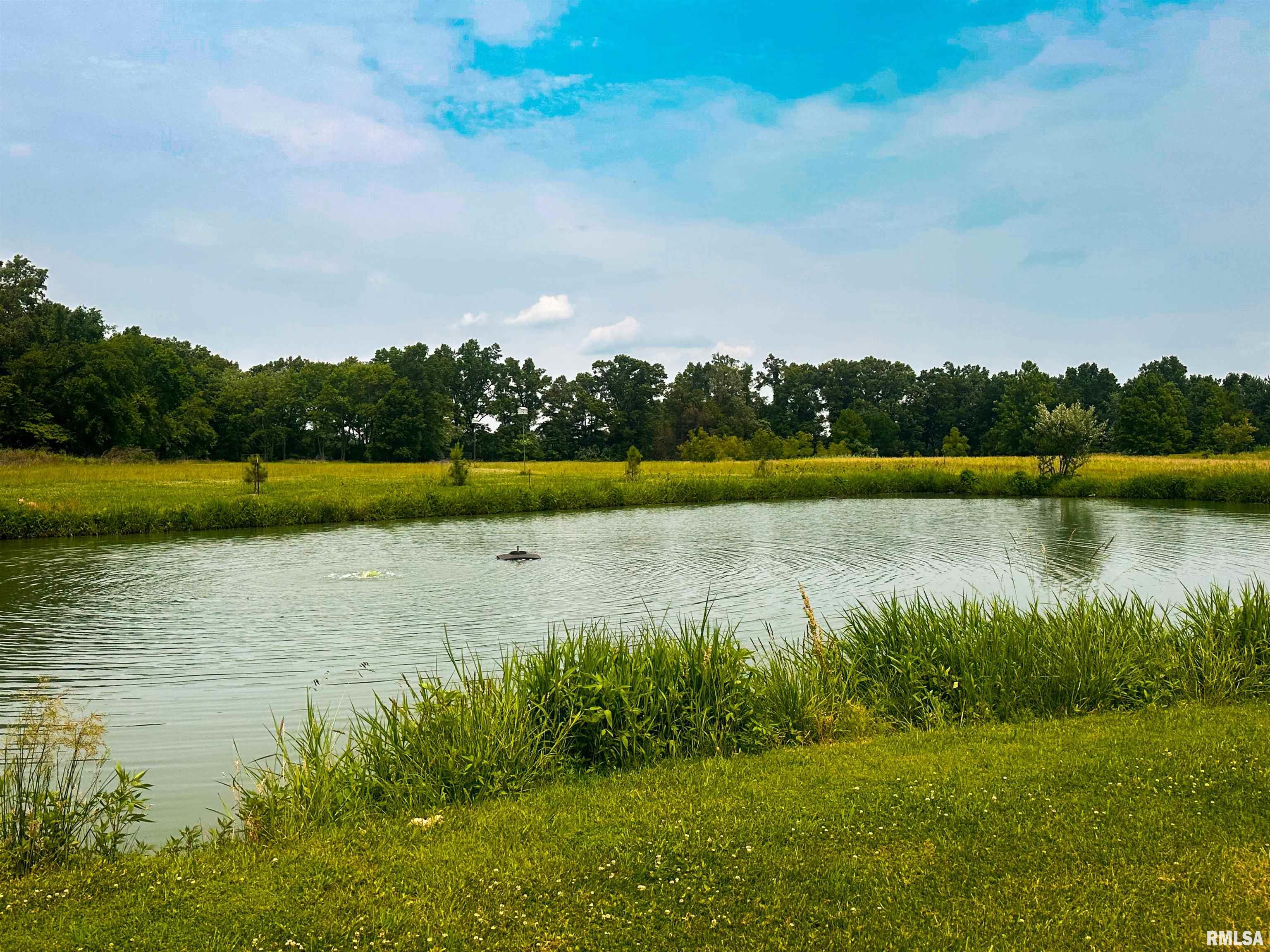 12781 S County Line Road, West Frankfort, Illinois image 5