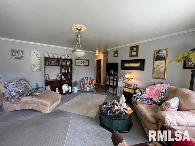 188 W Honeysuckle Drive, Elizabethtown, Illinois image 9
