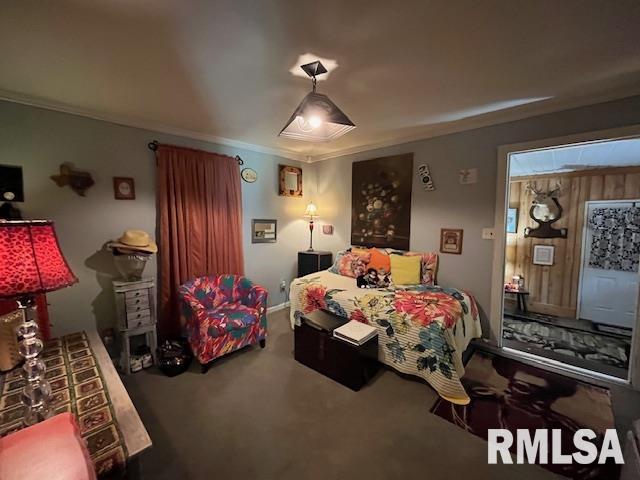 188 W Honeysuckle Drive, Elizabethtown, Illinois image 12