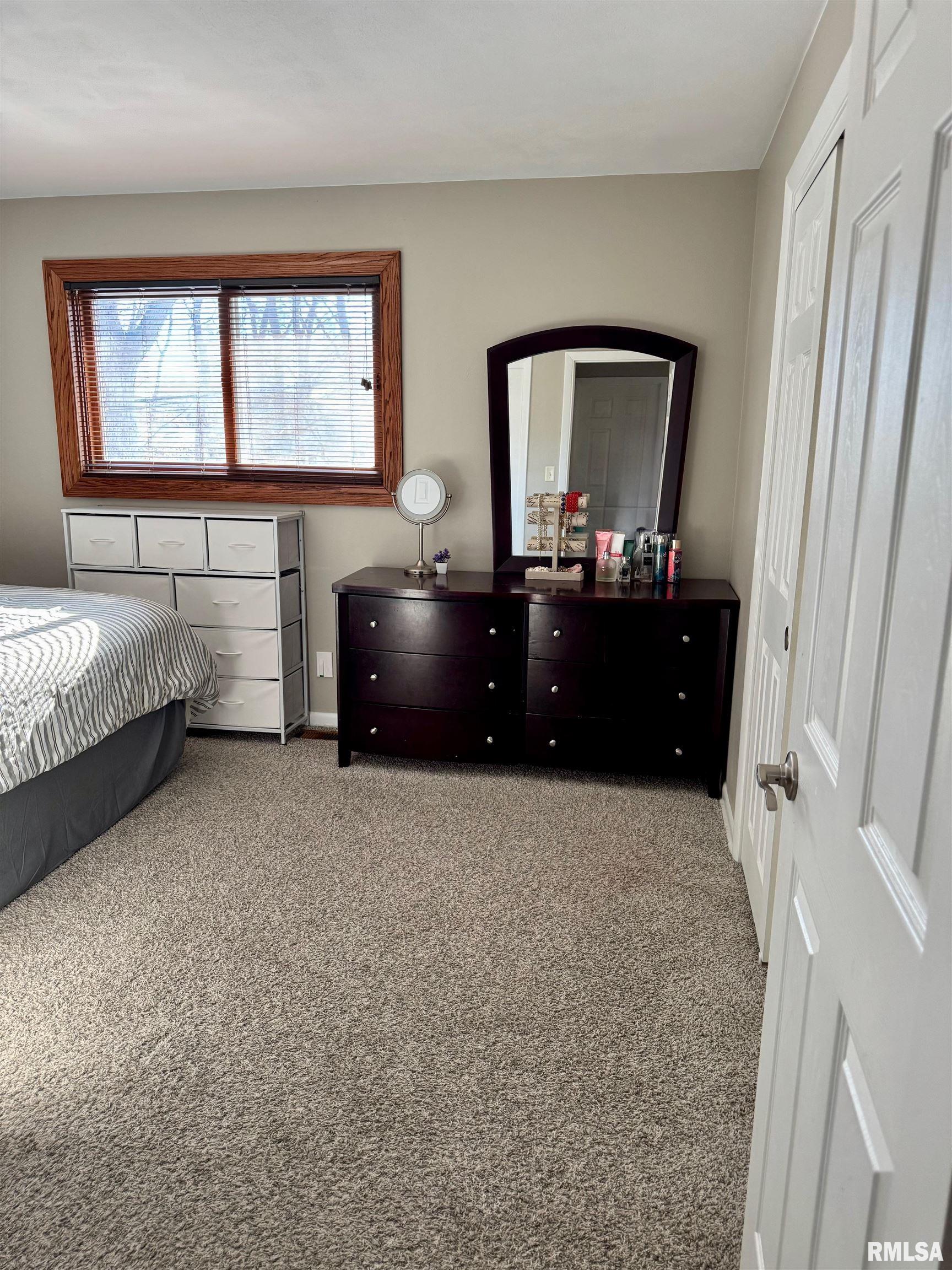 1400 W Wonderview Drive, Dunlap, Illinois image 19