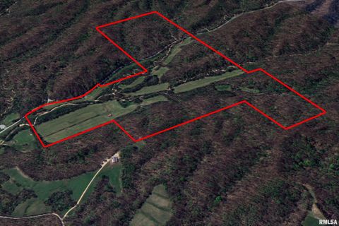 Vacant Land For Sale - 19168 County Line Road<br/> Jonesboro, IL 62952