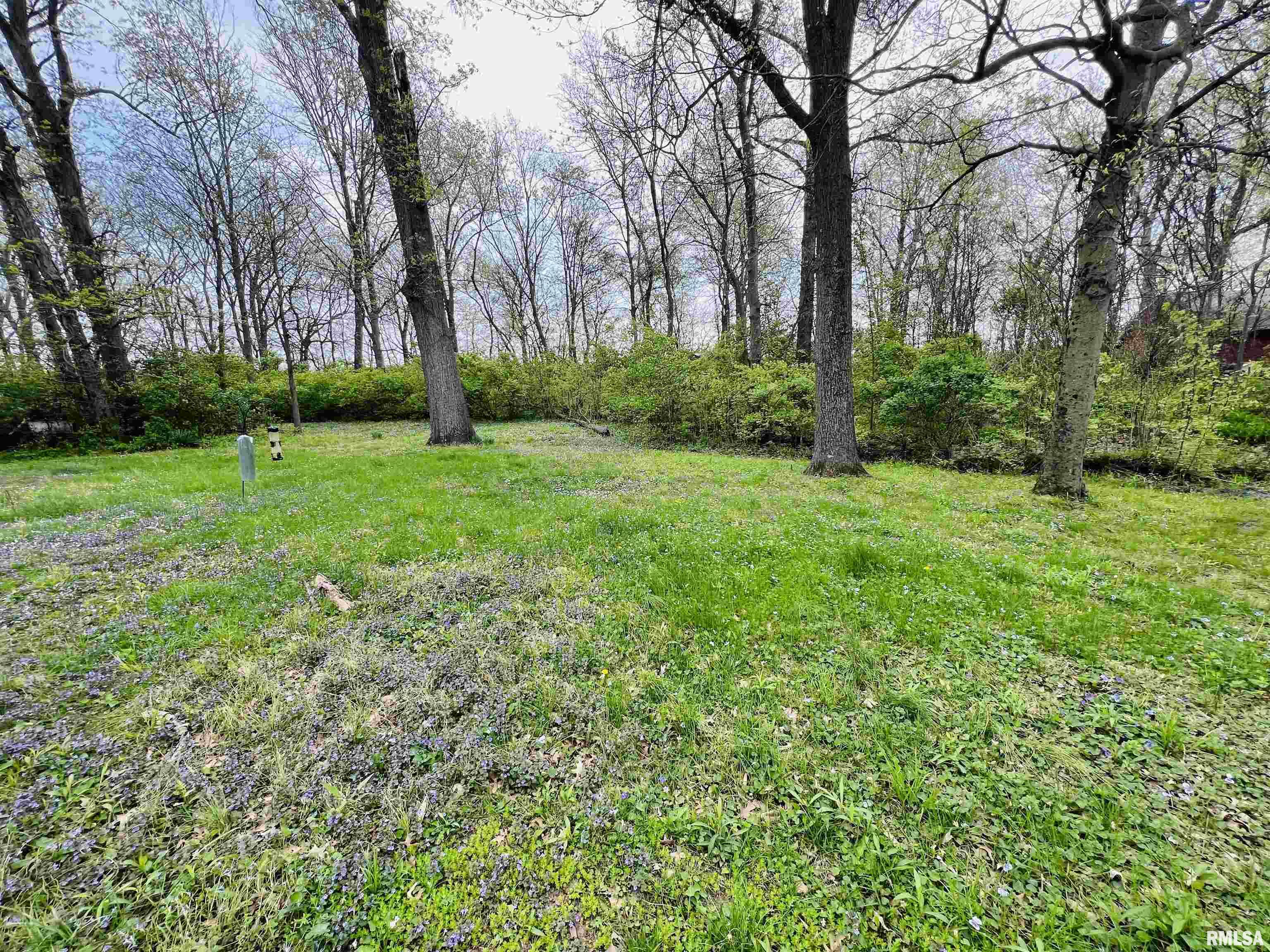 13162 N Dayton Lane, Woodlawn, Illinois image 2