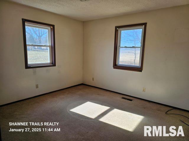 109 Hickory Street, Harrisburg, Illinois image 10