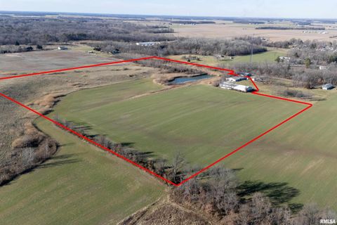Vacant Land For Sale - TBD Elkville Blacktop<br/> Elkville, IL 62932
