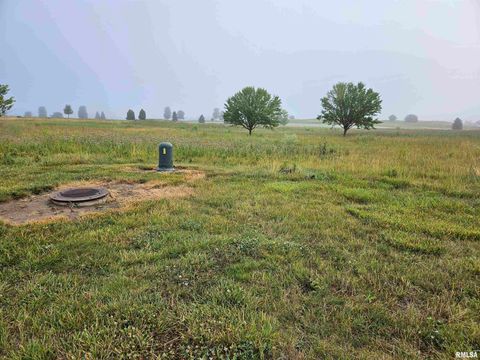 Vacant Land For Sale - 909 Ring Drive<br/> Metamora, IL 61548