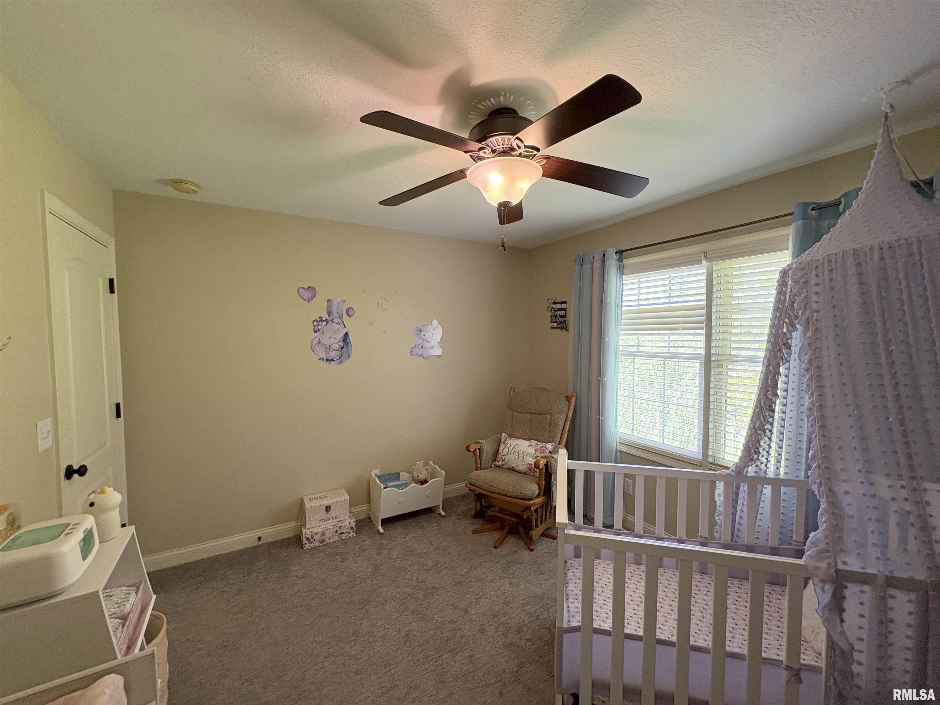 6821 N Basket Oak Drive, Edwards, Illinois image 48