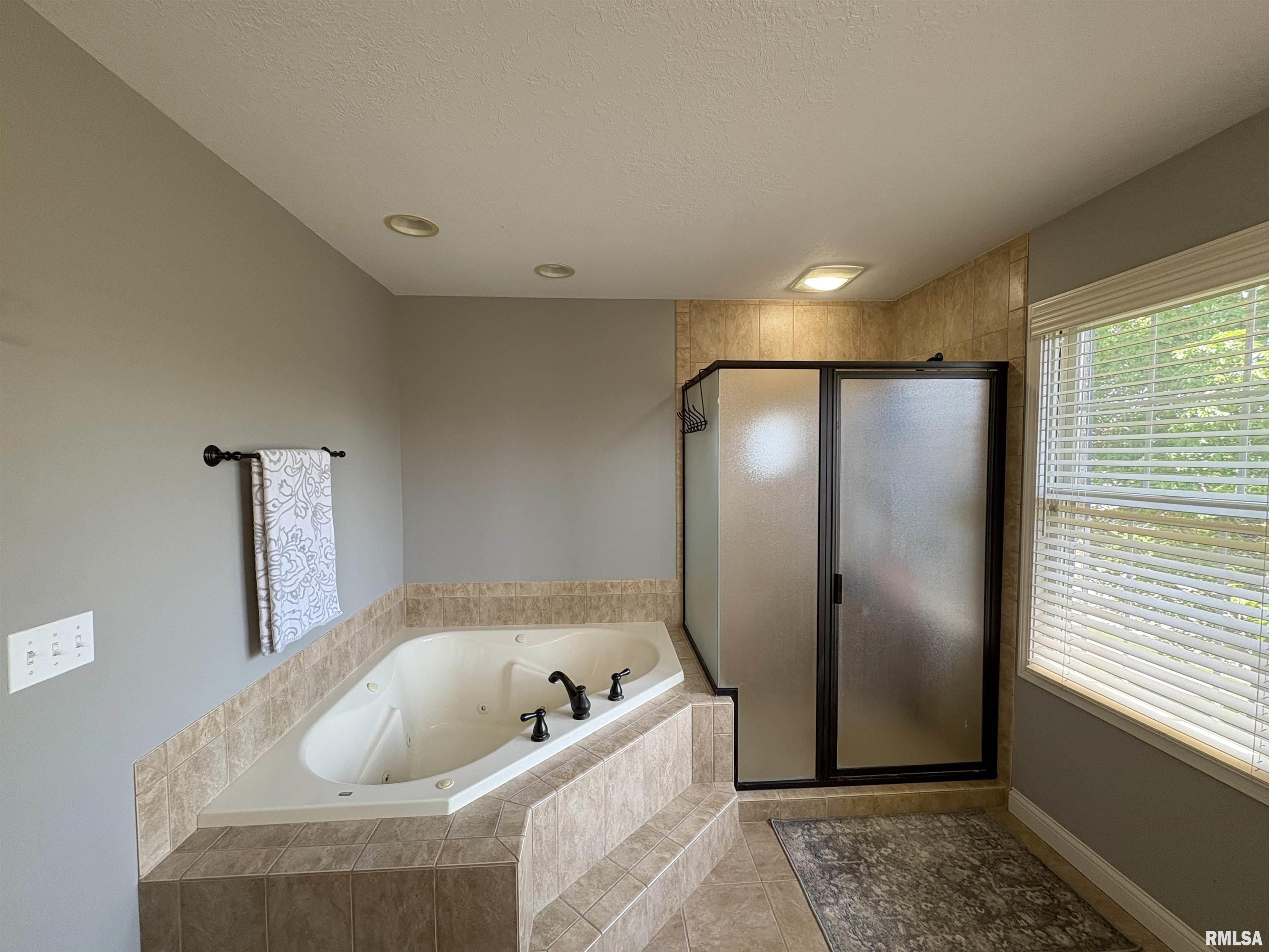 6821 N Basket Oak Drive, Edwards, Illinois image 38