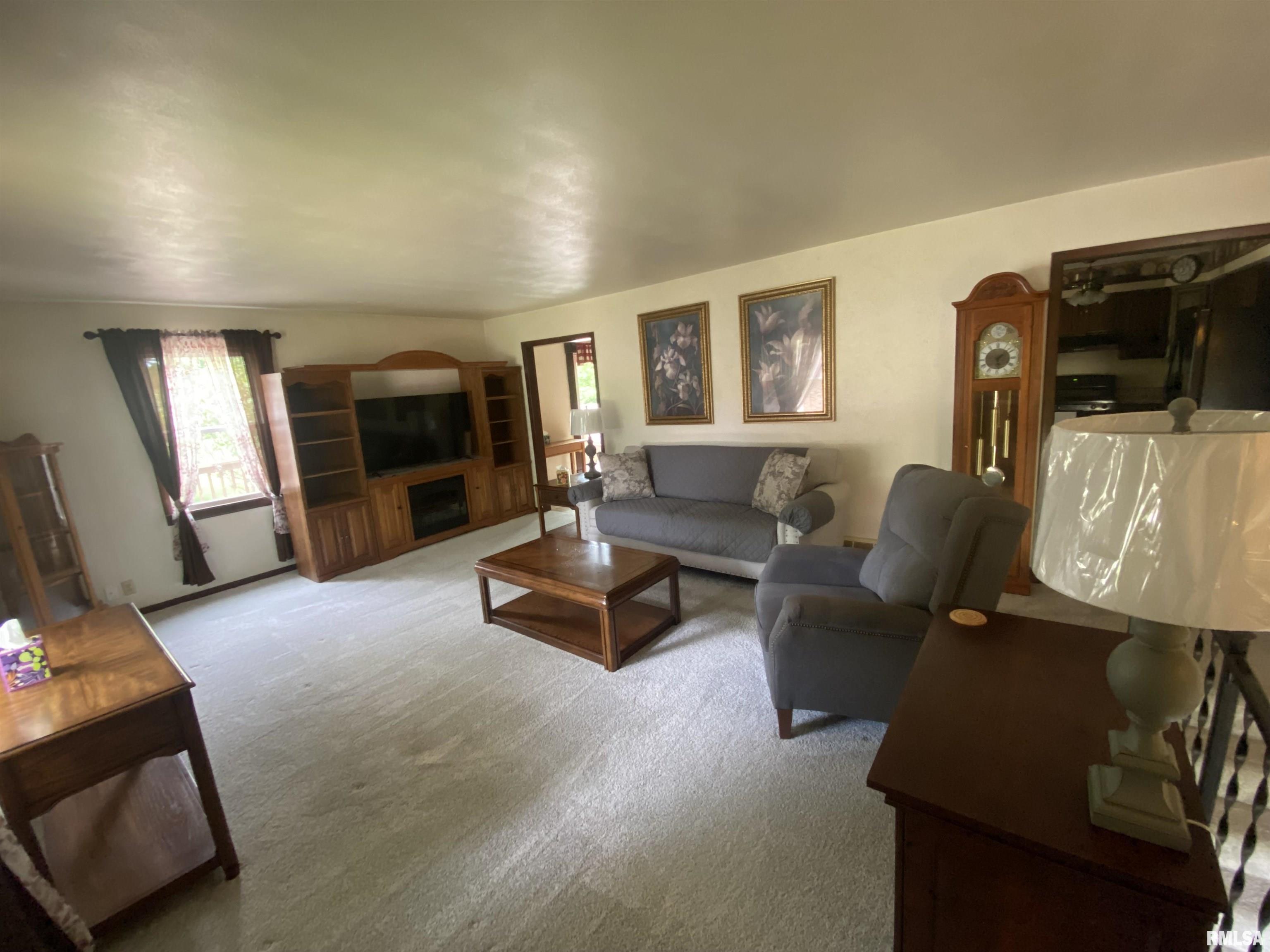 500 Circle Lane, Cuba, Illinois image 10