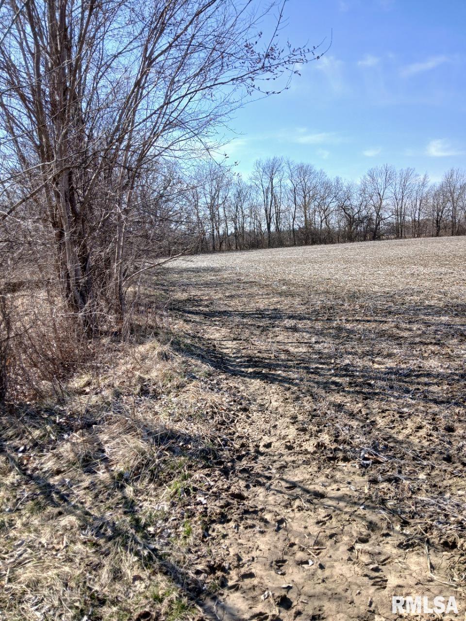 12583 Boy Scout Trail, Petersburg, Illinois image 4
