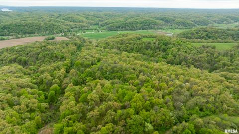 Vacant Land For Sale - 000 Bee Creek Road<br/> Pike County, Pearl, IL 62361