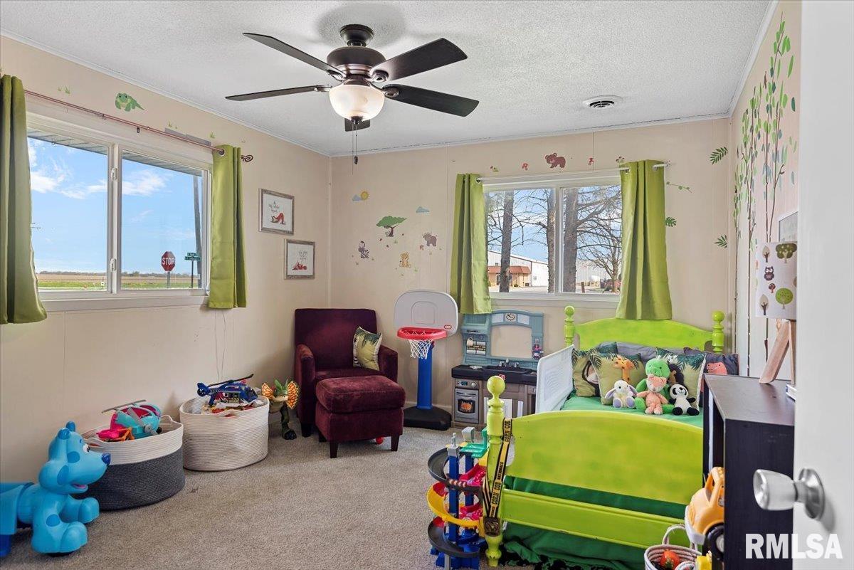 308 Jefferson Street, Pleasant Plains, Illinois image 26