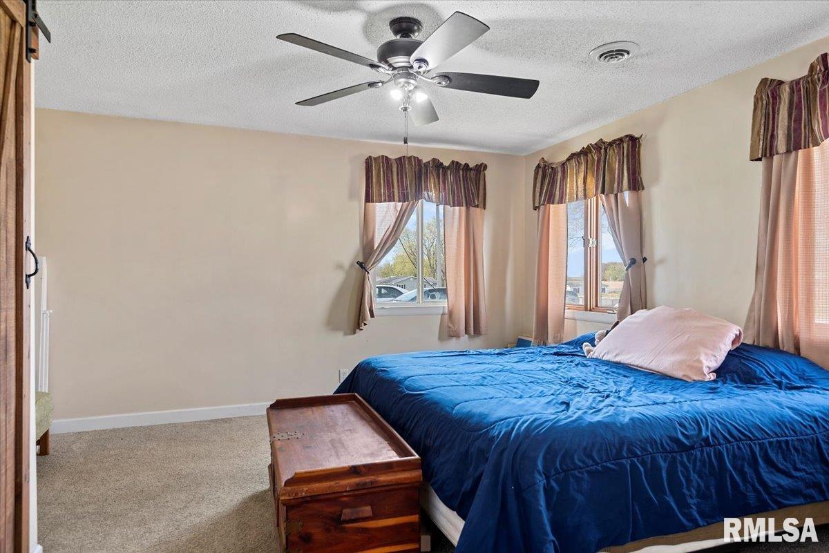 308 Jefferson Street, Pleasant Plains, Illinois image 14