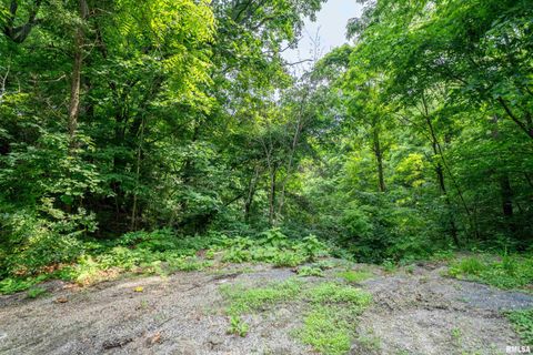 Vacant Land For Sale - #8 W Harp Hollow Road<br/> Peoria County, Peoria, IL 61607