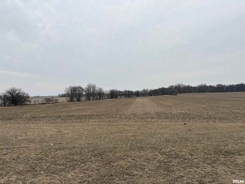 Vacant Land For Sale - 000 Stringtown Road<br/> Stanford, IL 61774
