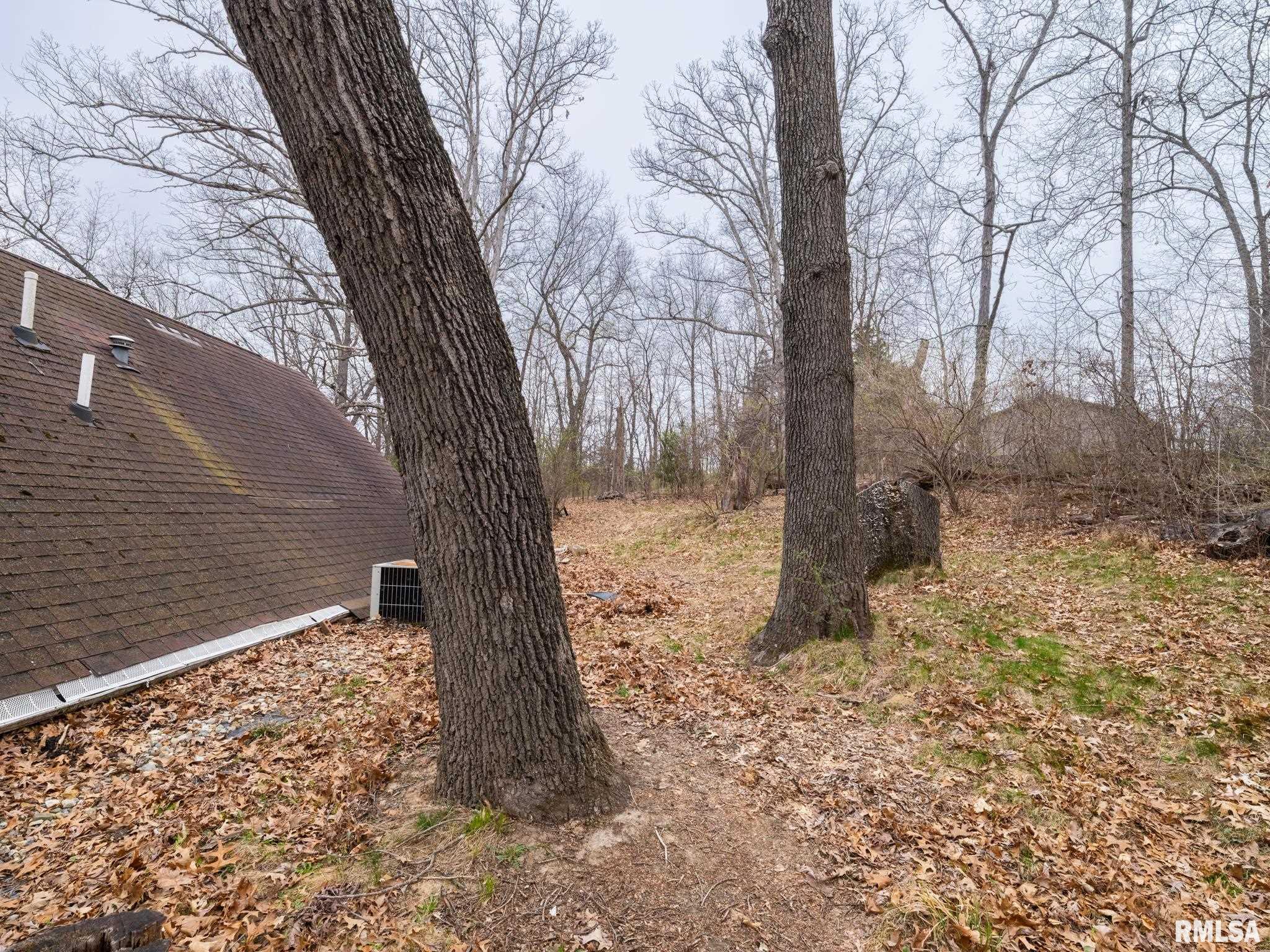 6102 S Trivoli Road, Glasford, Illinois image 15