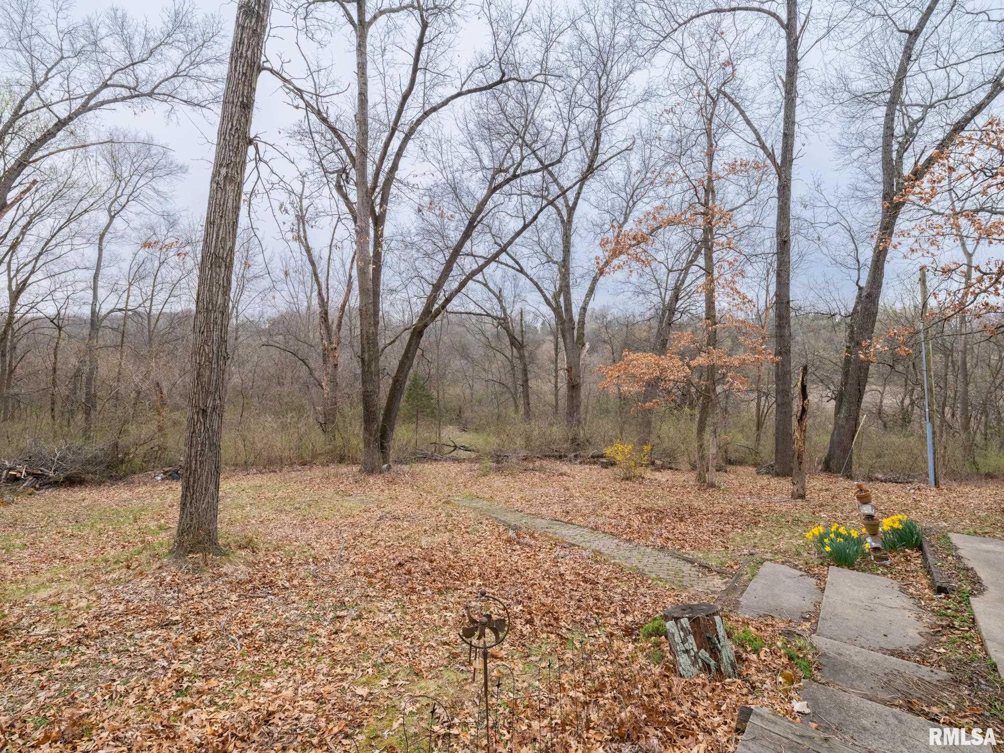 6102 S Trivoli Road, Glasford, Illinois image 12