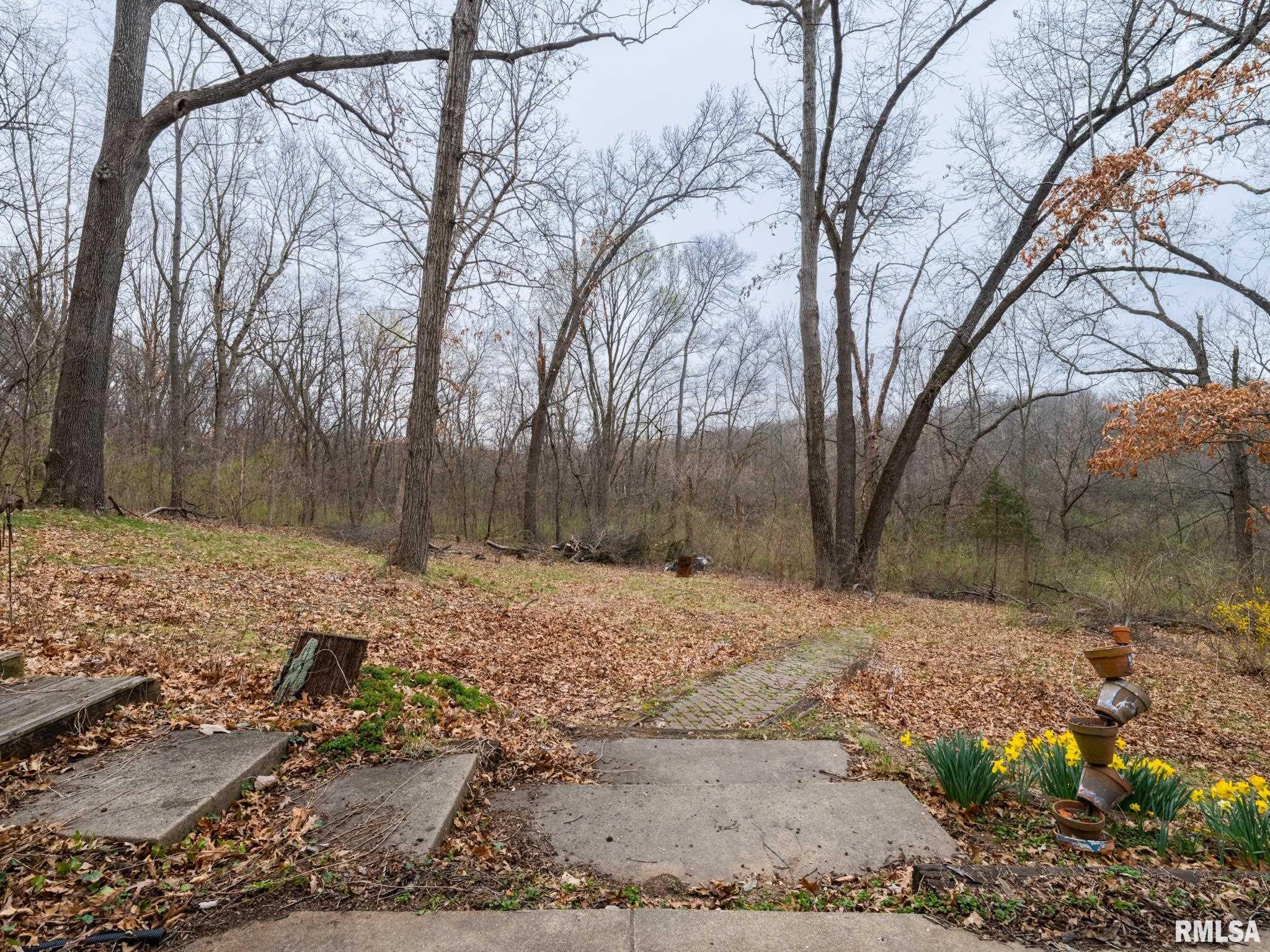 6102 S Trivoli Road, Glasford, Illinois image 11