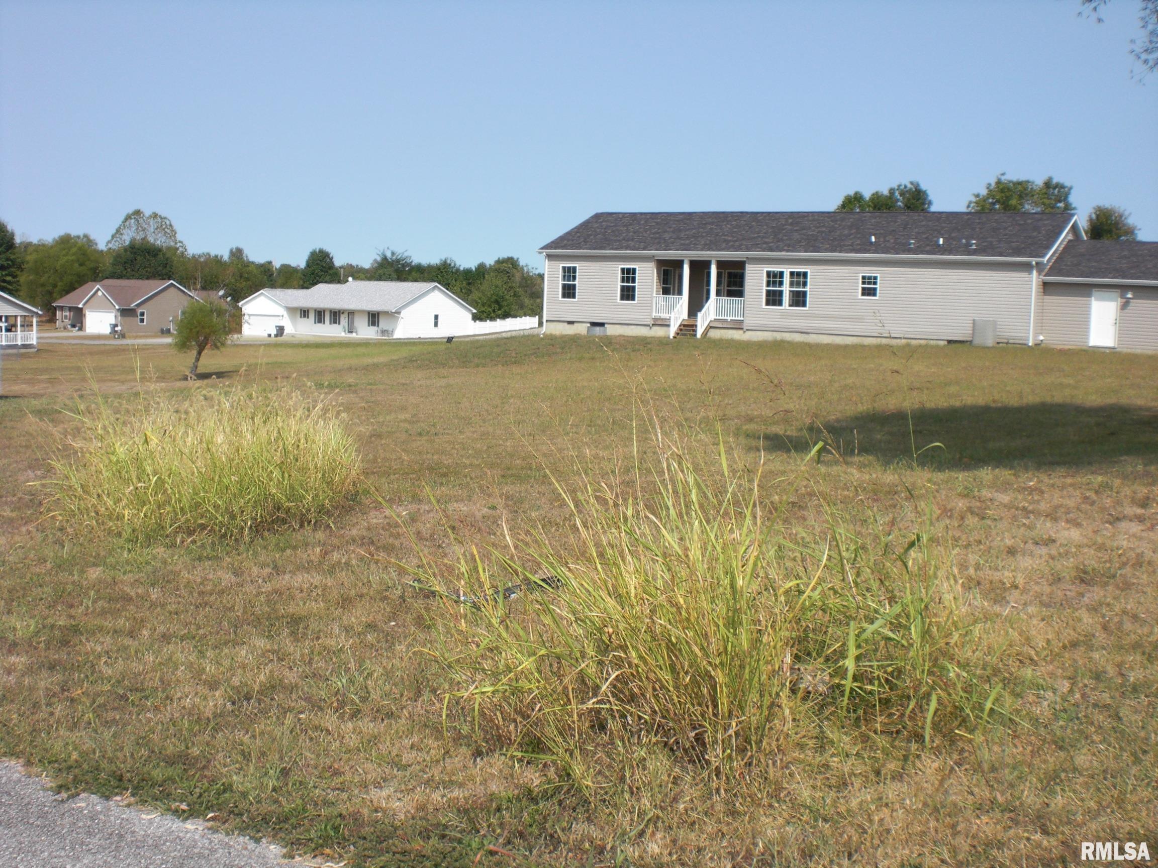 5784 Arctic Fox Drive, Carterville, Illinois image 3