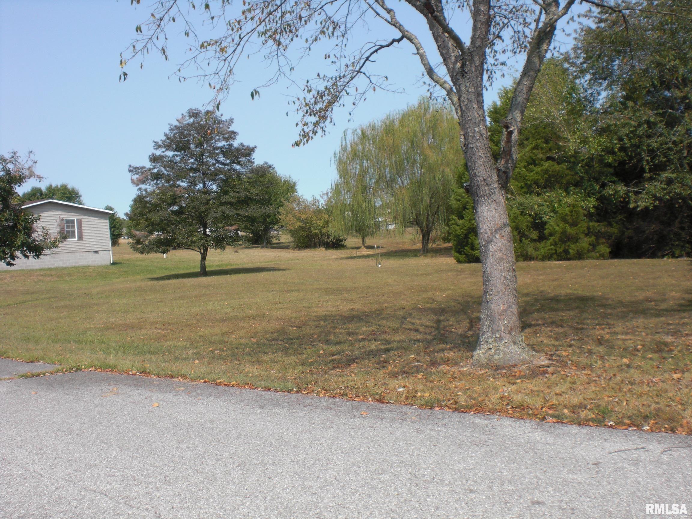 5784 Arctic Fox Drive, Carterville, Illinois image 13