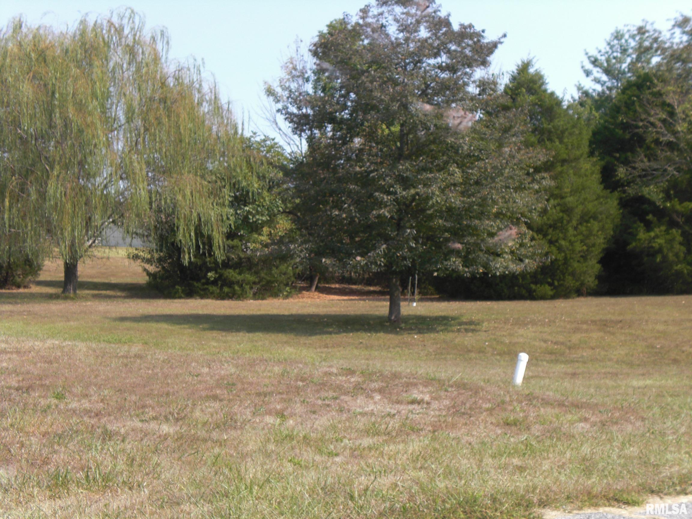 5784 Arctic Fox Drive, Carterville, Illinois image 9