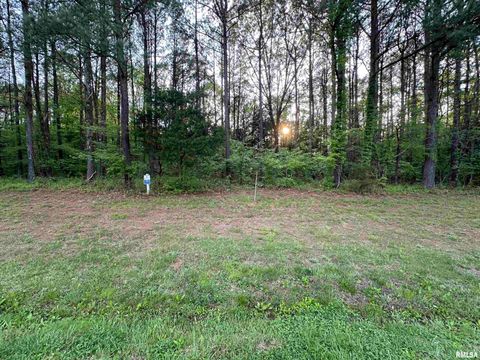 Vacant Land For Sale - TBD Parrish Ridge Lane<br/> Goreville, IL 62948