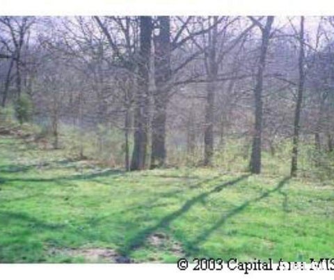 Vacant Land For Sale - 27 E Bluff Circle<br/> Menard County, Petersburg, IL 62675
