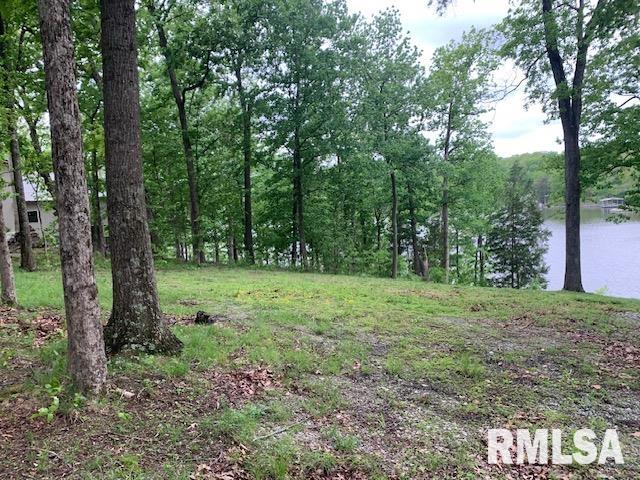 3695 Parrish Ridge Lane, Goreville, Illinois image 3