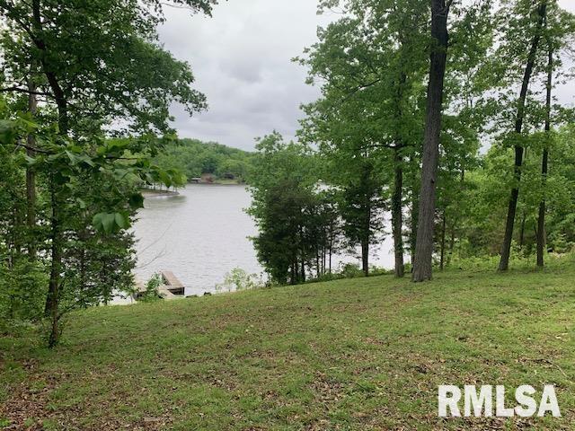3695 Parrish Ridge Lane, Goreville, Illinois image 9