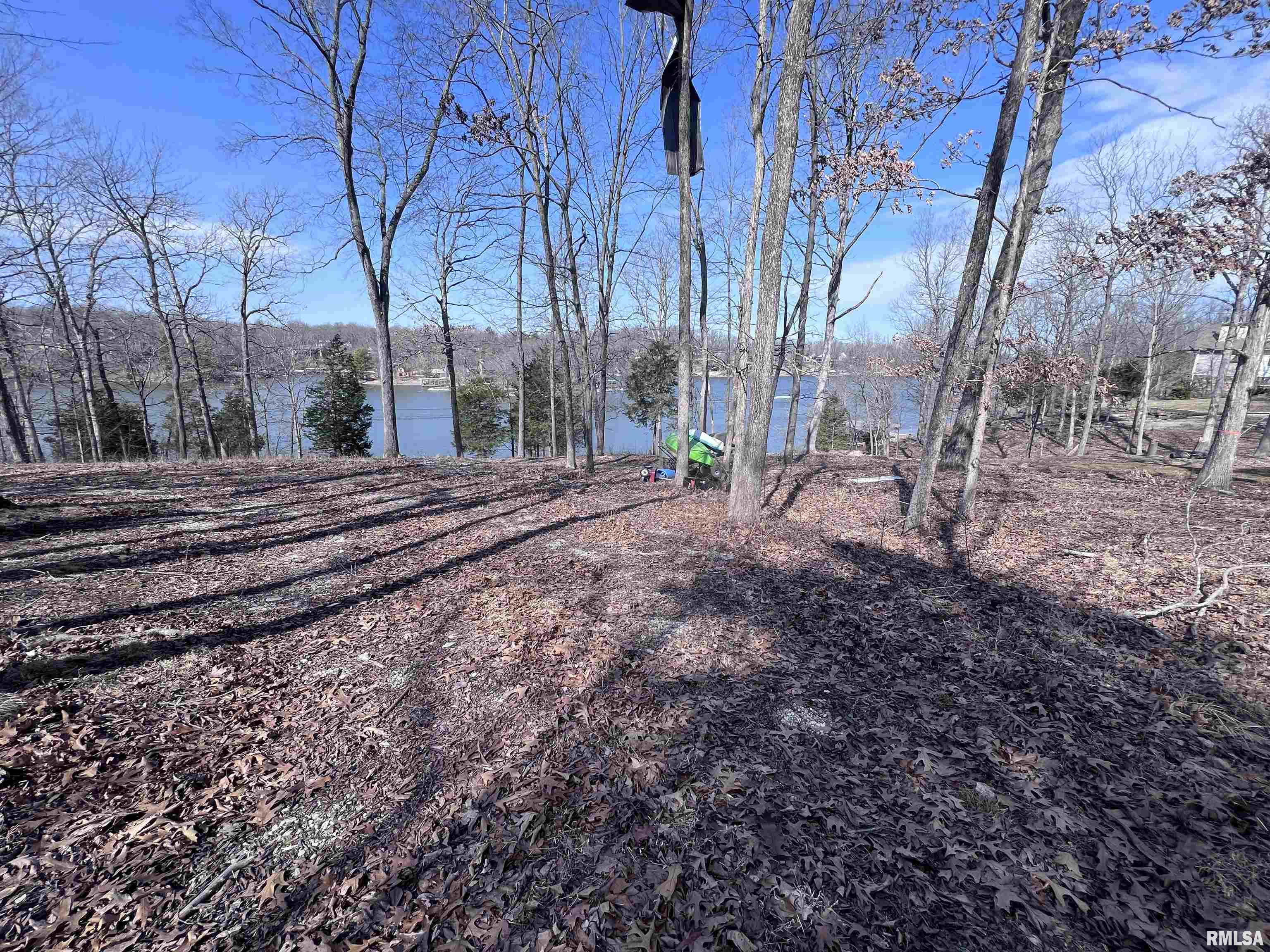 3695 Parrish Ridge Lane, Goreville, Illinois image 20