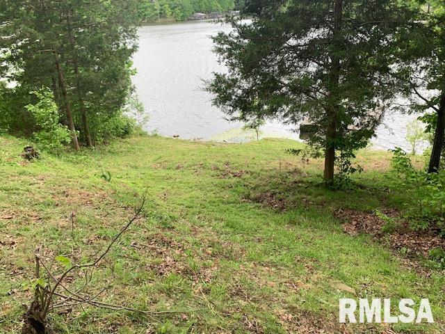 3695 Parrish Ridge Lane, Goreville, Illinois image 25