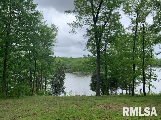 3695 Parrish Ridge Lane, Goreville, Illinois image 4