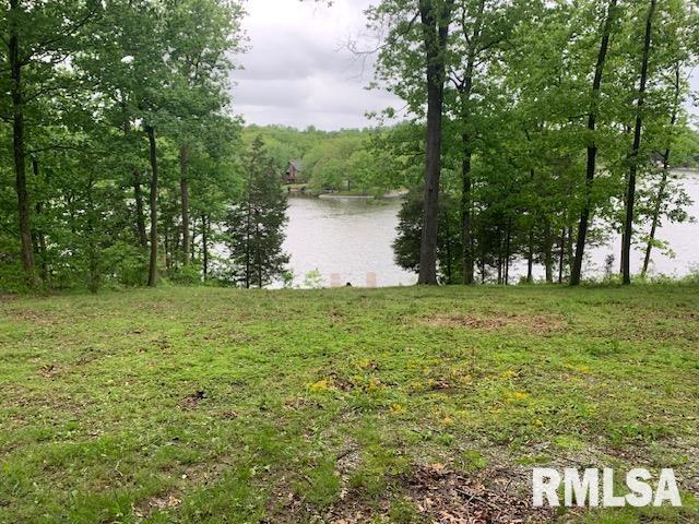 3695 Parrish Ridge Lane, Goreville, Illinois image 23
