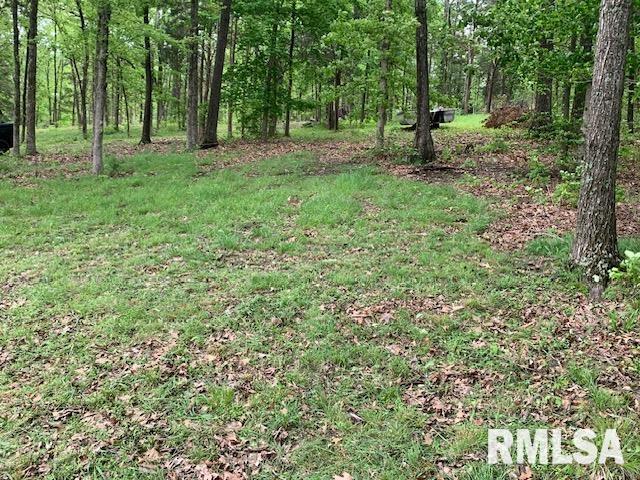 3695 Parrish Ridge Lane, Goreville, Illinois image 5