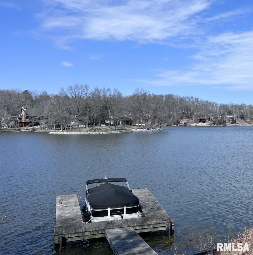 3695 Parrish Ridge Lane, Goreville, Illinois image 1