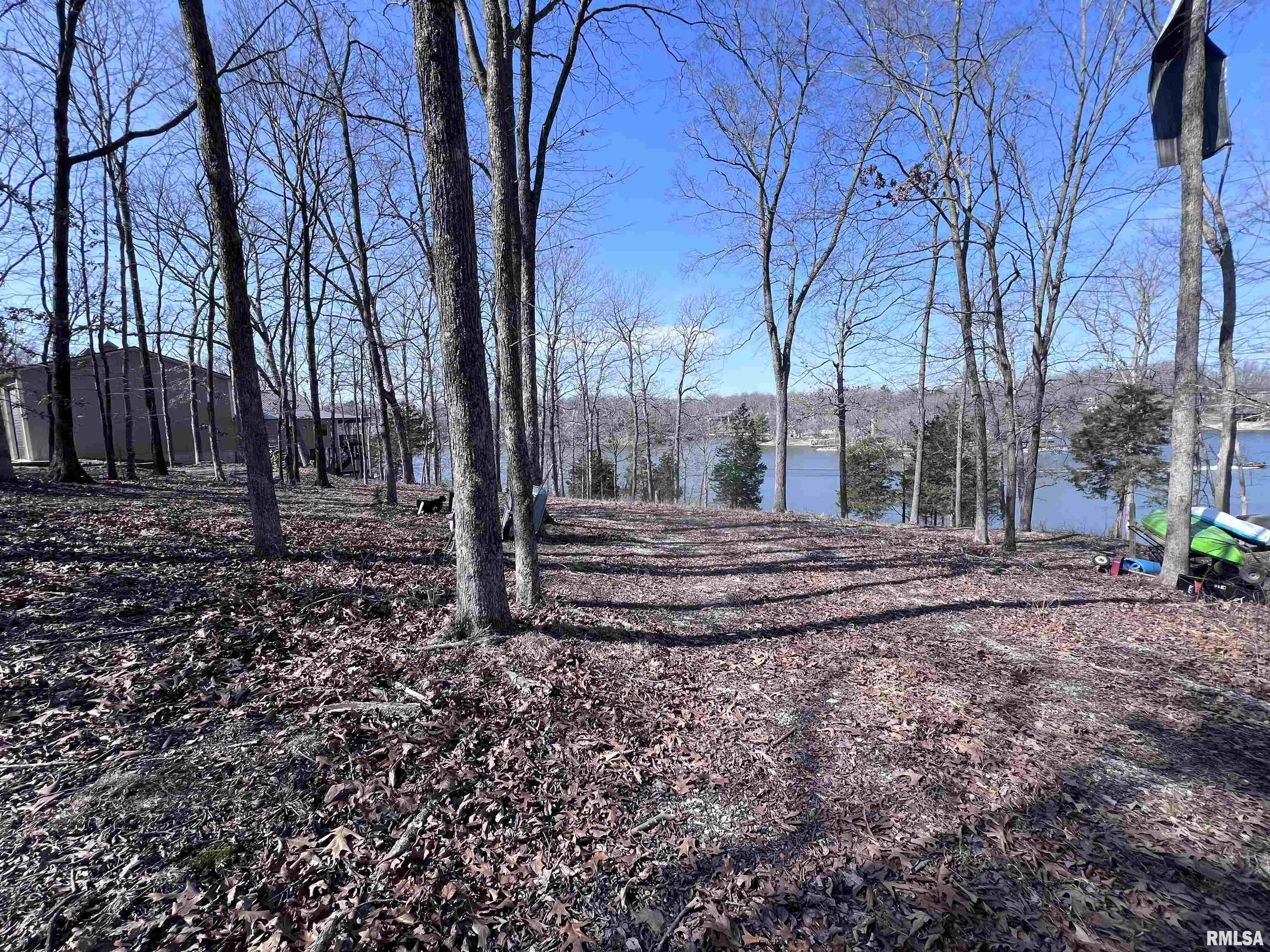 3695 Parrish Ridge Lane, Goreville, Illinois image 24