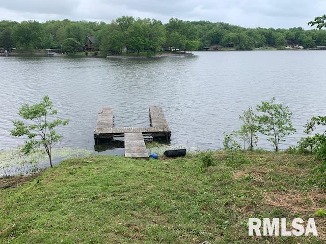 3695 Parrish Ridge Lane, Goreville, Illinois image 7