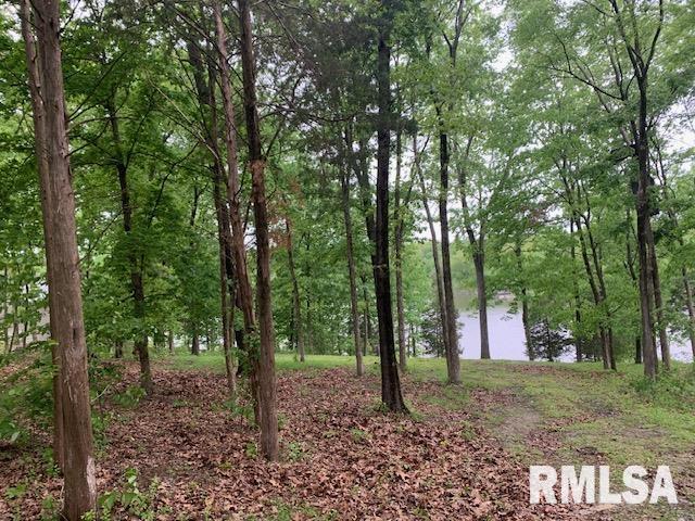 3695 Parrish Ridge Lane, Goreville, Illinois image 11