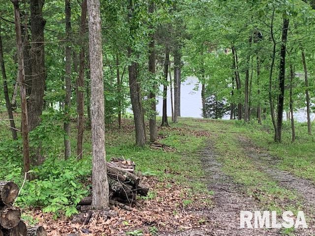 3695 Parrish Ridge Lane, Goreville, Illinois image 2