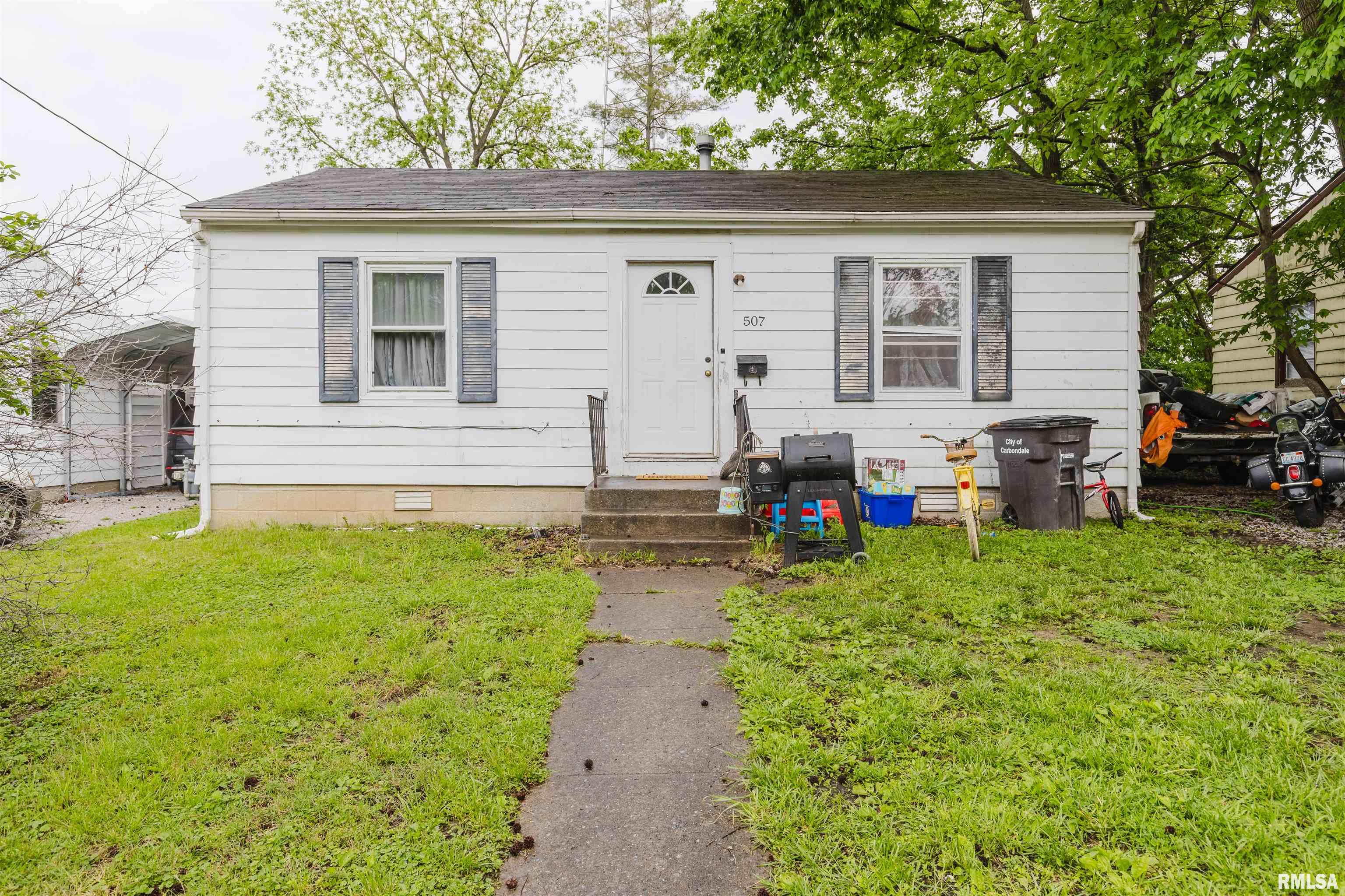 507 N Davis Street, Carbondale, Illinois image 1