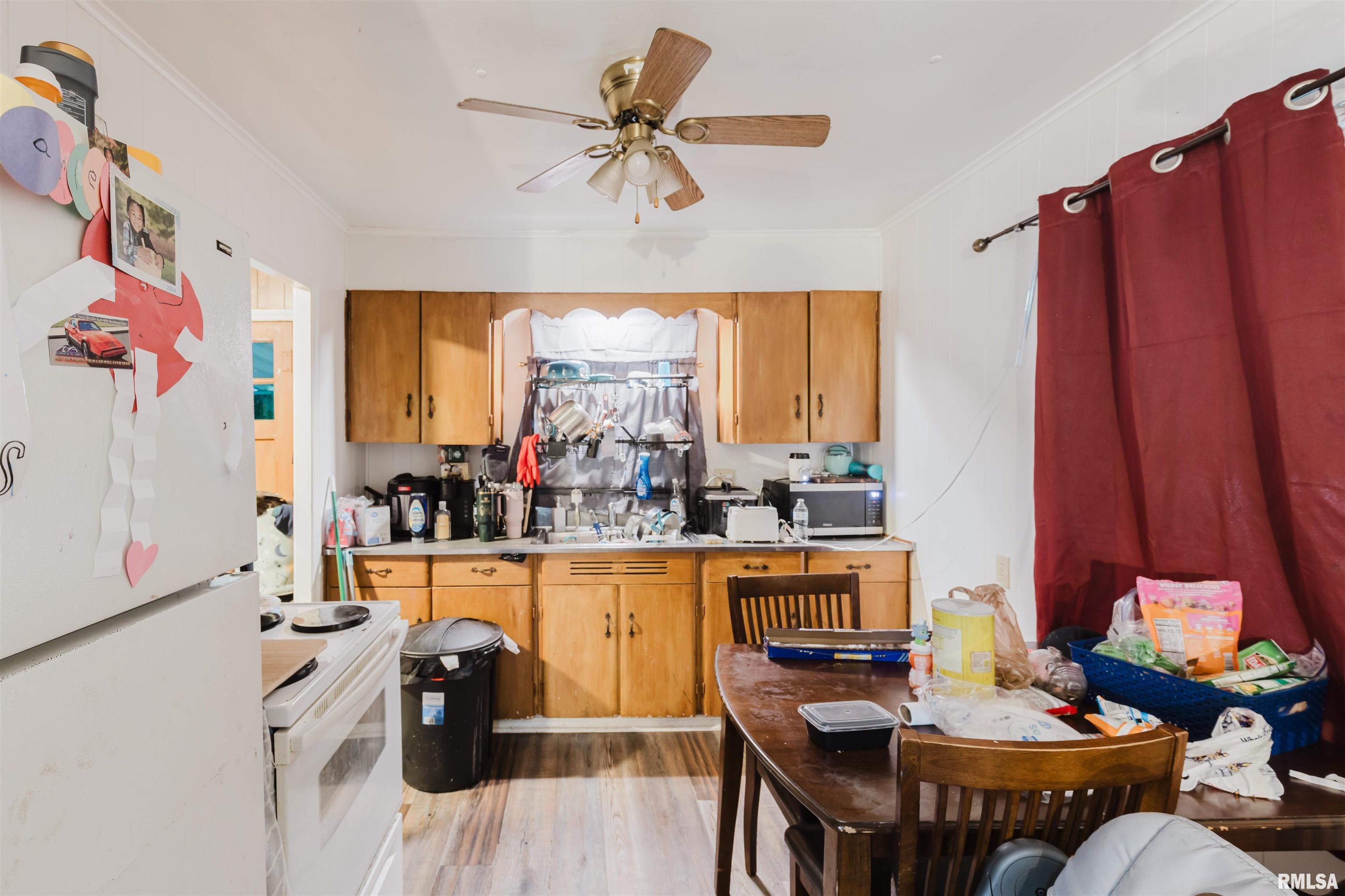 507 N Davis Street, Carbondale, Illinois image 4