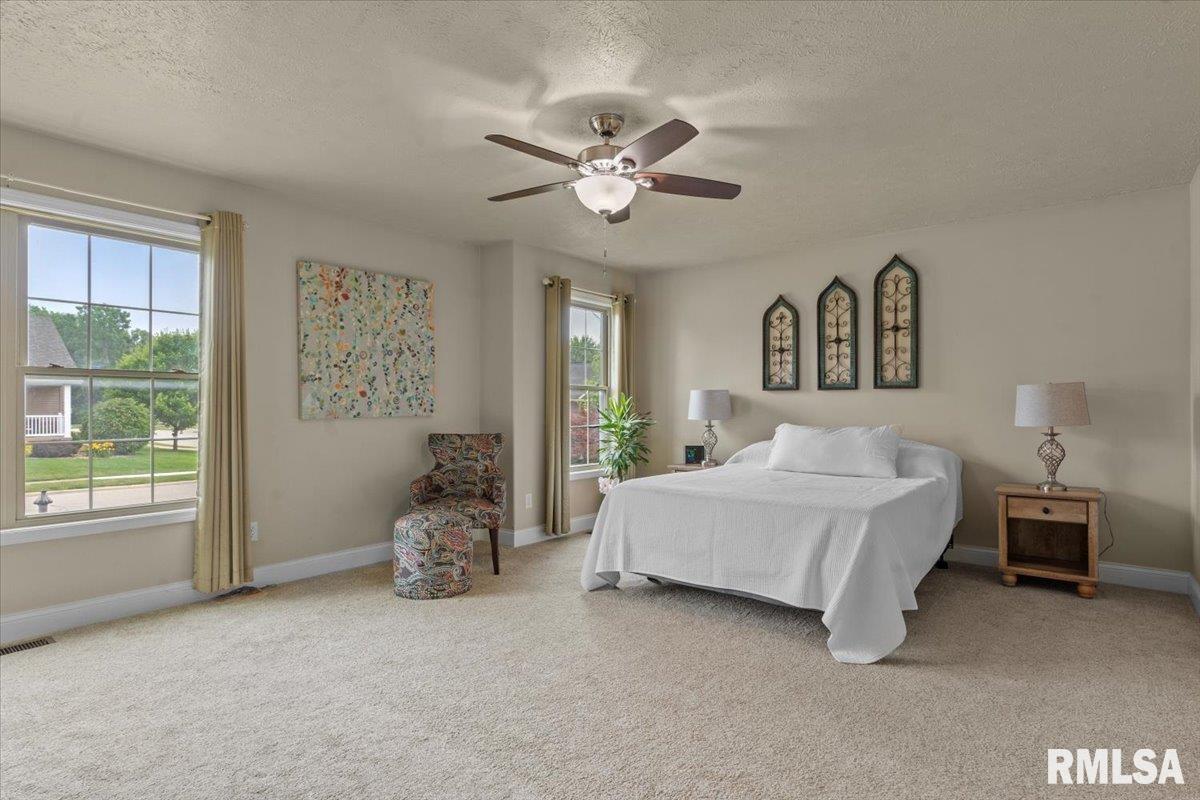 1103 Dina Drive, Riverton, Illinois image 14