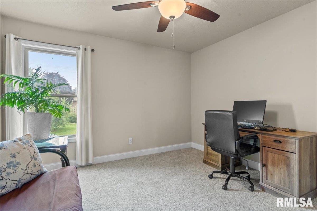 1103 Dina Drive, Riverton, Illinois image 22